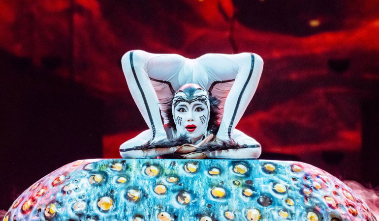 10-yillik-hasret-bitiyor-cirque-du-soleil-ovo-gosterisiyle-istanbulda-rzdxMAbS.jpg